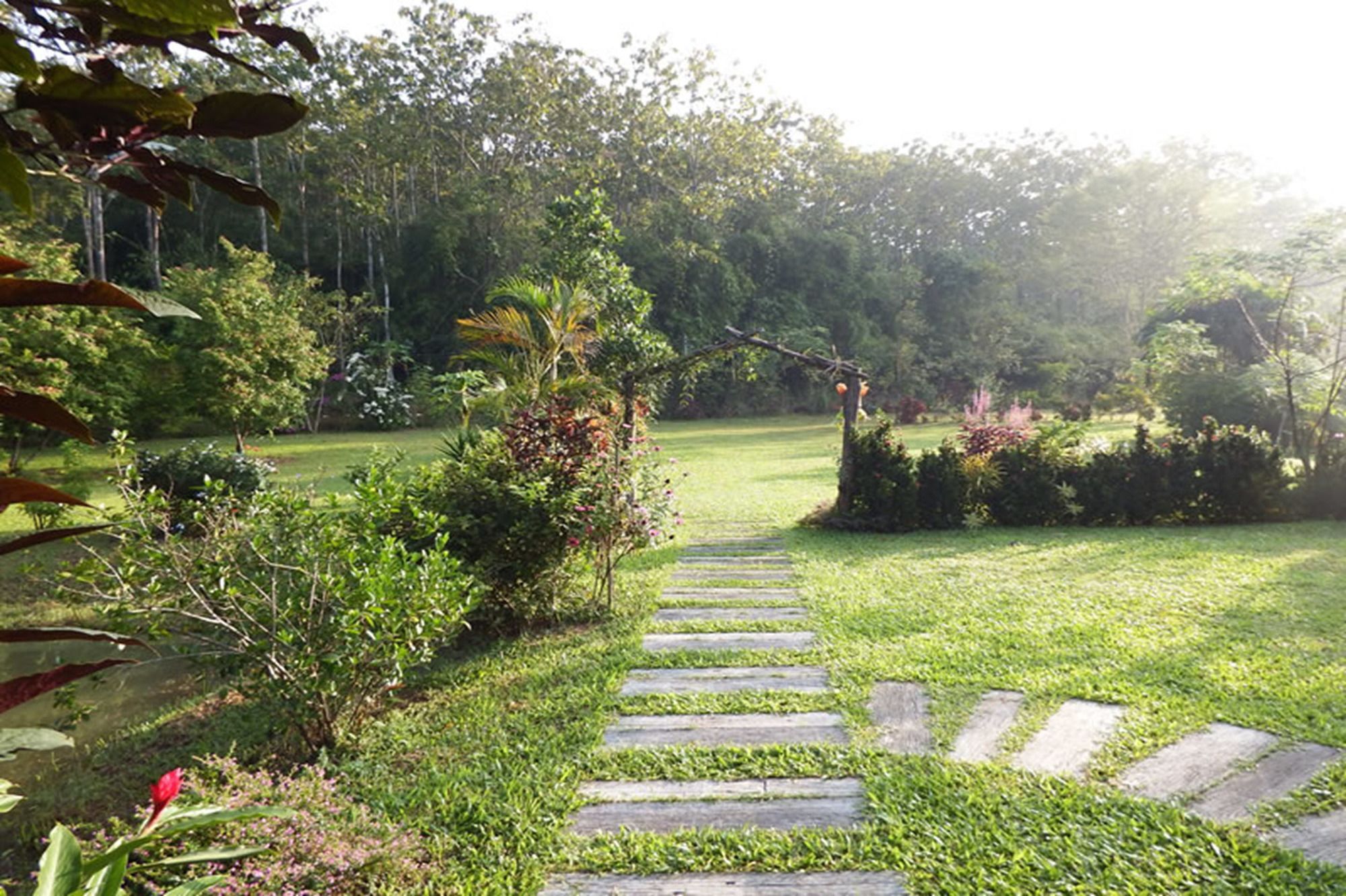 Noks Garden Resort Τσιανγκ Ράϊ Εξωτερικό φωτογραφία